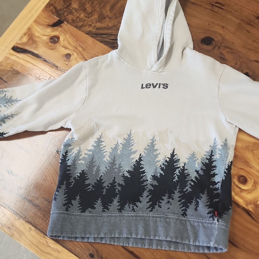 Levi's Kids Hoodie with Forest Print in Gray and Black